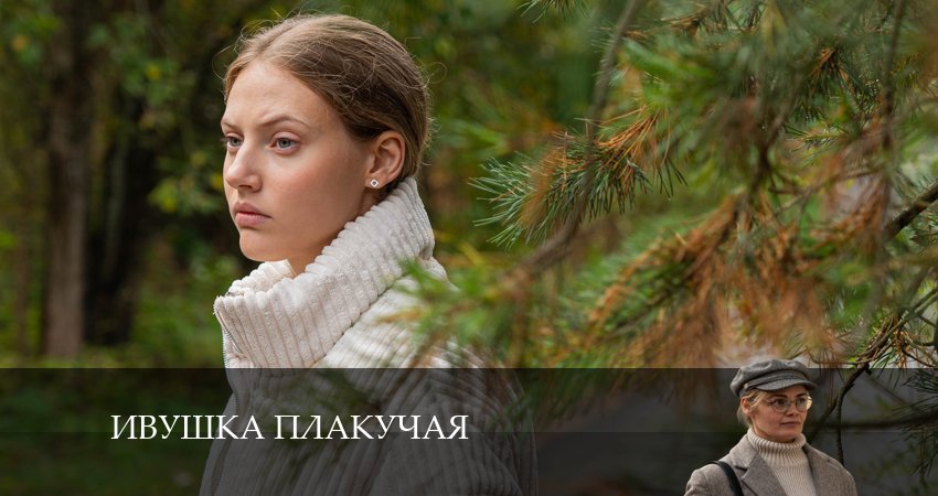 Сериал Ивушка плакучая (2024) 1 сезон 2 серия смотреть бесплатно в хорошем качестве