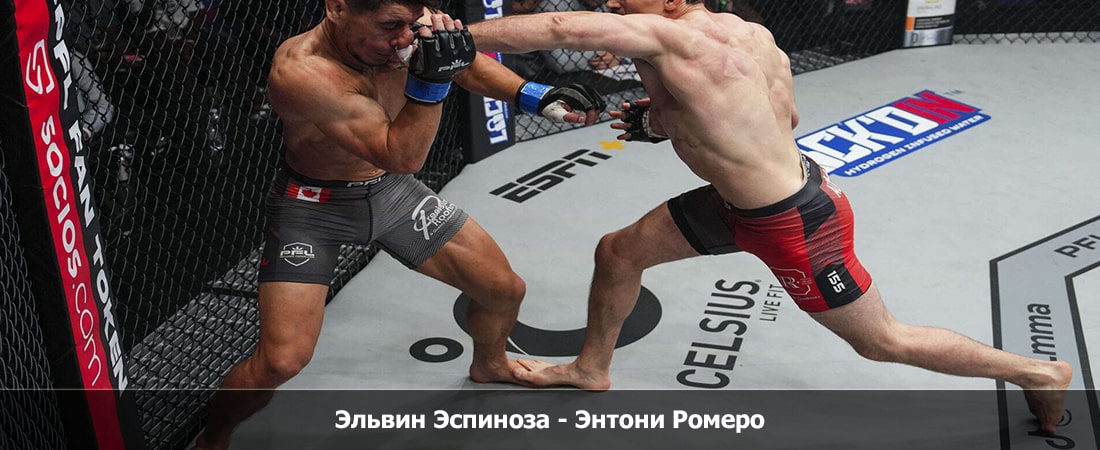 Эльвин Эспиноза - Энтони Ромеро (12.04.2024) 2 смотреть полностью