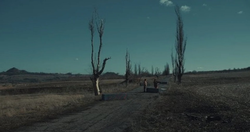 Сiрi бджоли (-) полная версия смотреть бесплатно