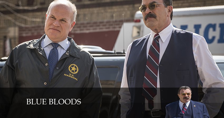 Смотреть сериал Голубая кровь (Blue Bloods) 14 сезон 13 серия бесплатно и без рекламы