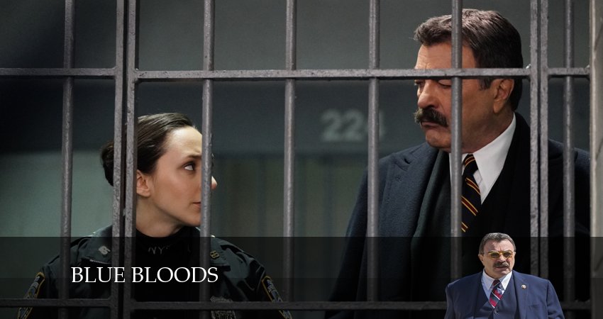 Голубая кровь (Blue Bloods) 14 сезон 17 серия смотреть в хорошем качестве