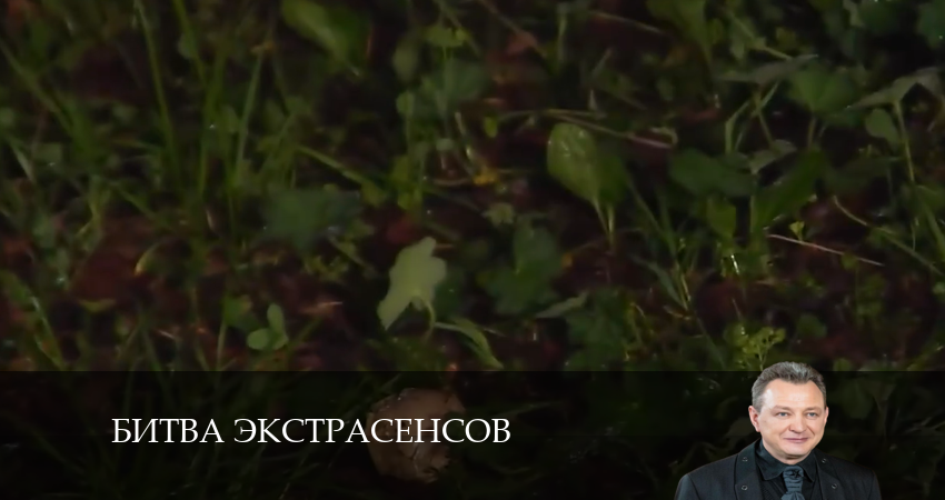 Новая битва экстрасенсов 24 сезон 4 серия смотреть онлайн в качестве 4K