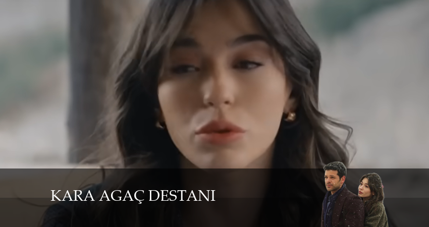 Легенда о черном дереве 1 сезон 31 серия смотреть онлайн в качестве 4K