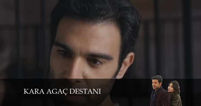 Легенда о черном дереве (2024) 1 сезон 39 серия смотреть онлайн без рекламы и регистрации