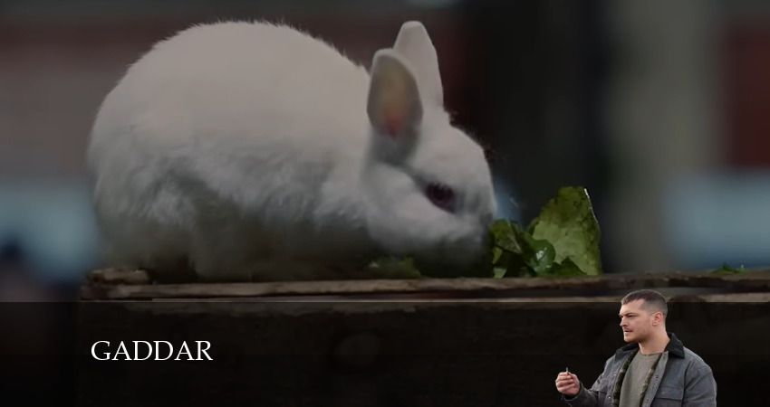 Беспощадный (2024) 1 сезон 17 серия смотреть в HD 1080 без регистрации