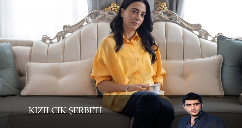 Клюквенный щербет (2024) 3 сезон 89 серия смотреть онлайн без рекламы