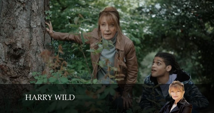 Сериал Гарри Уайлд (2024) 3 сезон 3 серия смотреть бесплатно в хорошем качестве