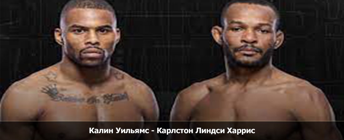 Смотреть фильм Калин Уильямс - Карлстон Линдси Харрис (19.05.2024) 2 на кинопоиске