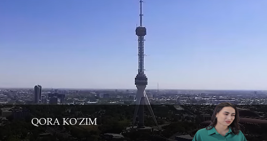 Смотреть сераил Qora kozim (2024) 1 сезон 35 серия HD 1080, 4K