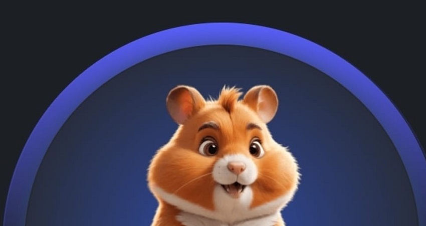 Смотреть Фильм Hamster Combat (2024) без рекламы в HD