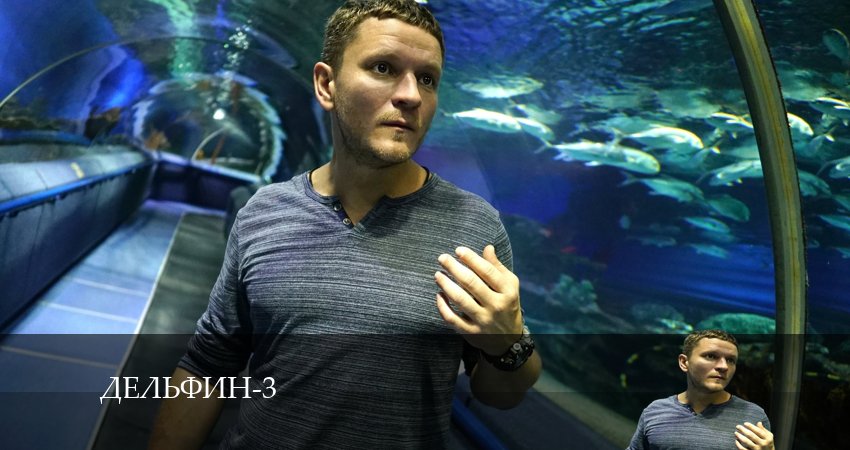 Смотреть сериал Дельфин 3 сезон 9 серия бесплатно и без рекламы