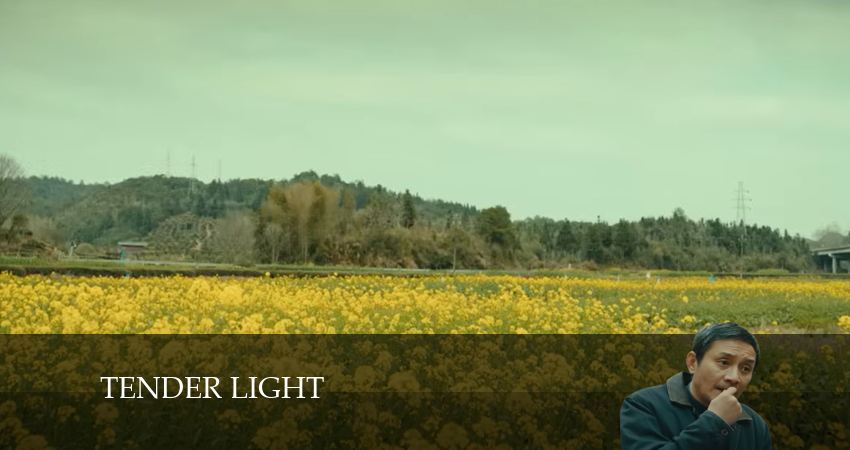 Бледный огонь (2024) 1 сезон 12 серия смотреть в 4K качестве онлайн