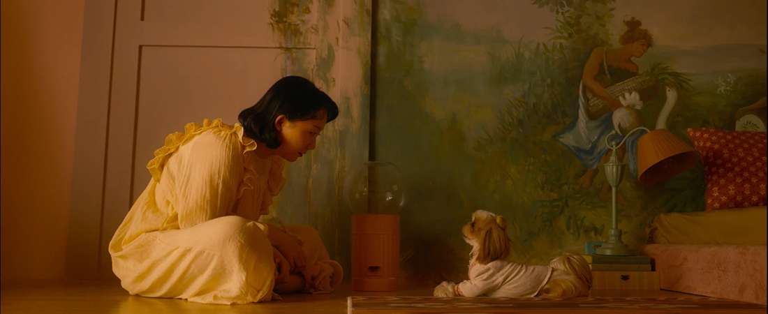 Любовь и пёсики (Китай) полная версия смотреть бесплатно