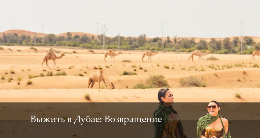Выжить в Дубае: Возвращение (2024) 3 сезон 17 серия смотреть онлайн без рекламы