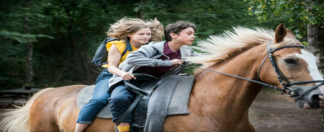 Смотреть фильм Как мы сбежали с цирком (Нидерланды) HD 1080, 4K