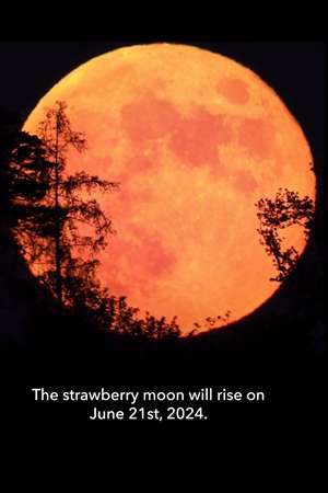 Фильм Июньское полнолуние: что означает клубничная луна в день солнцестояния для вашего знака зодиака (2024) смотреть онлайн бесплатно в HD 720, 1080 качестве