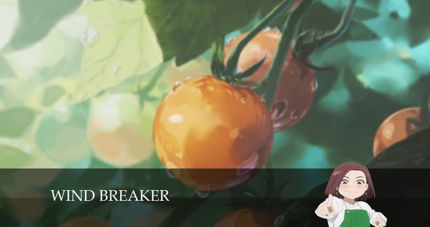 Ветролом (2024) 1 сезон 19 серия смотреть в HD 1080 без регистрации