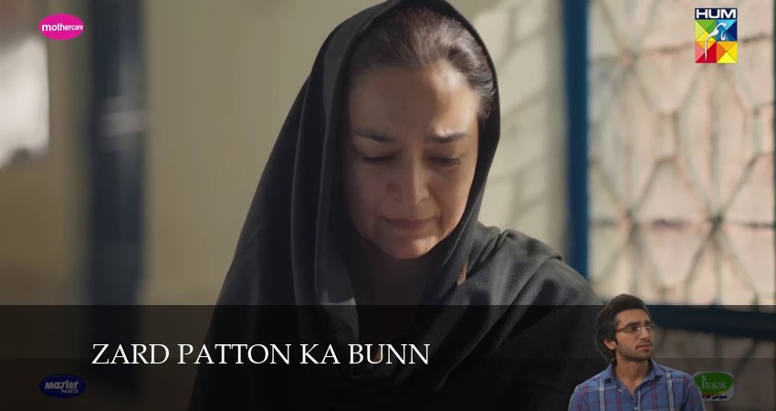 Zard Patton Ka Bunn (2024) 1 сезон 14 серия полностью в хорошем качестве и бесплатно