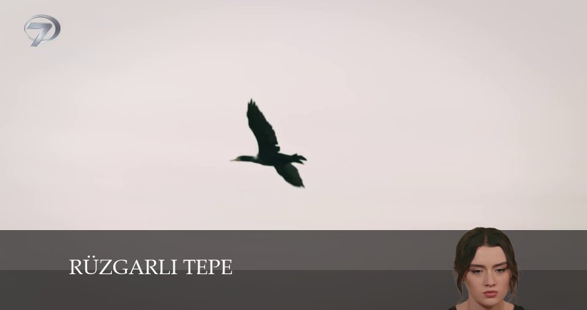 Ветреный холм 1 сезон 130 серия смотреть в хорошем качестве