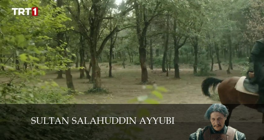 Sultan Salahuddin Ayyubi 1 сезон 18 серия смотреть онлайн бесплатно в хорошем качестве