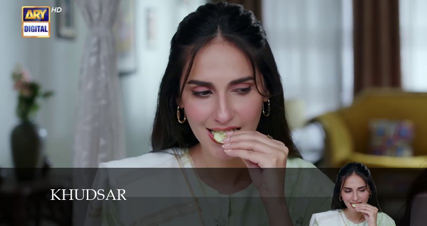 Сериал Khudsar (1 сезон, 65 серия) смотреть бесплатно онлайн