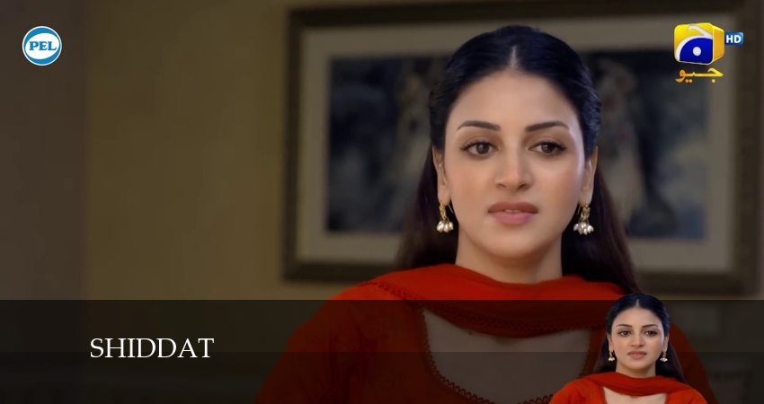 Shiddat (2024) 1 сезон 56 серия полностью в хорошем качестве и бесплатно