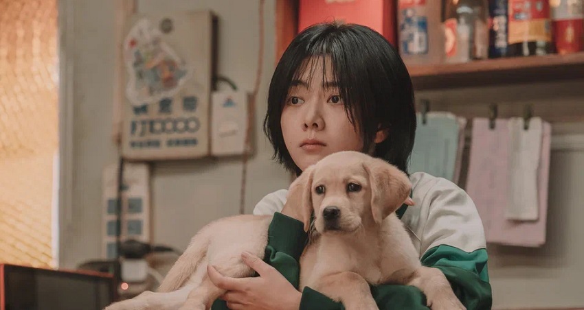 Папа стал собакой (Китай) смотреть в хорошем качестве