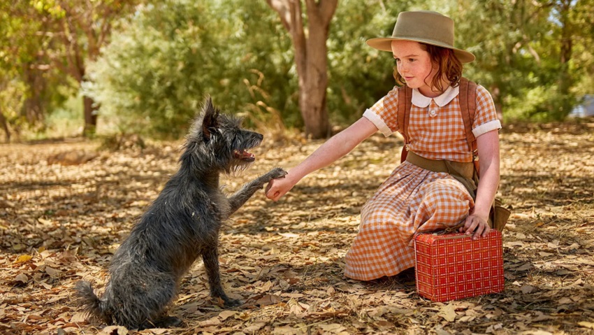 Смотреть фильм Мой любимый двортерьер (2024) (Австралия) HD 1080, 4K