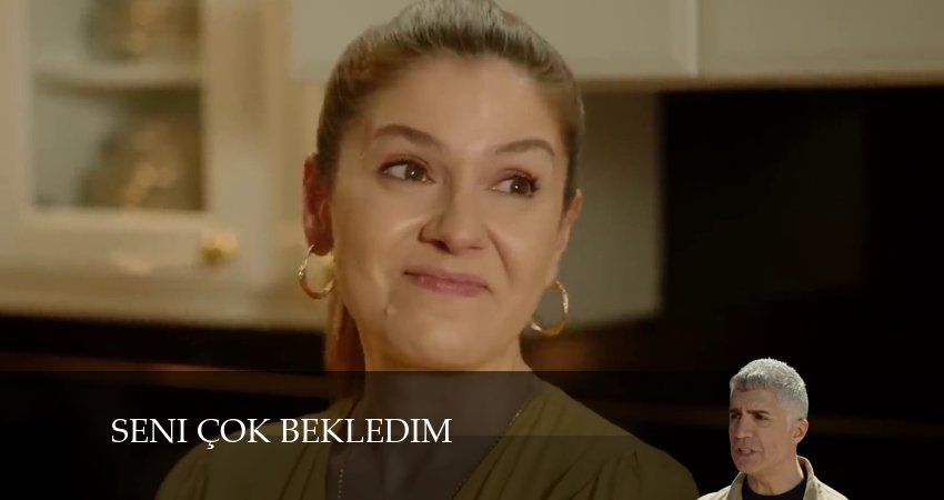 Я так долго тебя ждал (Seni Cok Bekledim) (1 сезон, 50 серия) смотреть бесплатно онлайн без рекламы