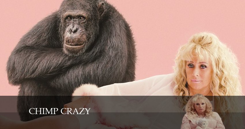 Сумасшедший шимпанзе (2024) 1 сезон 2 серия смотреть онлайн без рекламы