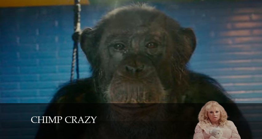 Фильм Сумасшедший шимпанзе 2024