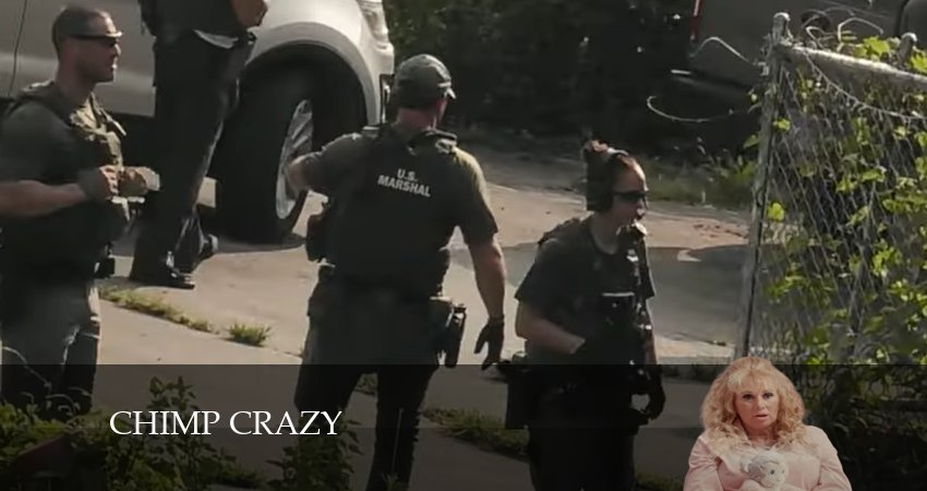 Сумасшедший шимпанзе 1 сезон 6 серия смотреть онлайн 720p или 1080p