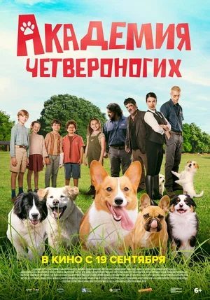 Академия четвероногих / Дрессировщики <(2024, Италия) смотреть онлайн