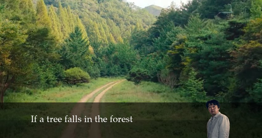 Если в лесу падает дерево (1 сезон, 2024) смотреть онлайн