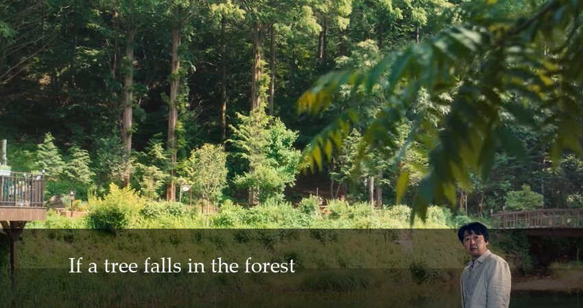 Смотреть сериал Если в лесу падает дерево (2024) 1 сезон 6 серия без рекламы в HD