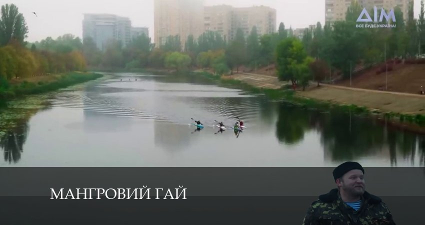 Мангровий гай сериал содержание серий