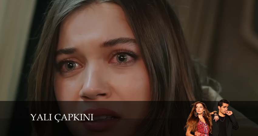 Зимородок (2024) 3 сезон 12 серия смотреть онлайн бесплатно