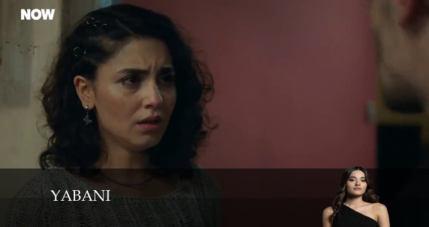 Дикий / Yabani 2024 2 сезон 39 серия смотреть онлайн в качестве 4K