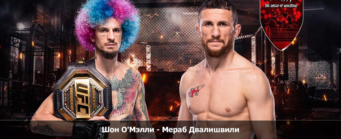 Шон О Мэлли - Мераб Двалишвили (15.09.2024) BDRiP