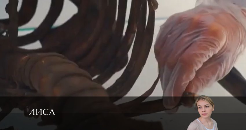 Лиса (2024) 1 сезон 24 серия смотреть онлайн без рекламы и регистрации