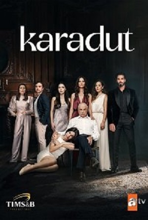 Смотреть сериал Черная шелковица (2024) 1 сезон онлайн в высоком качестве HD