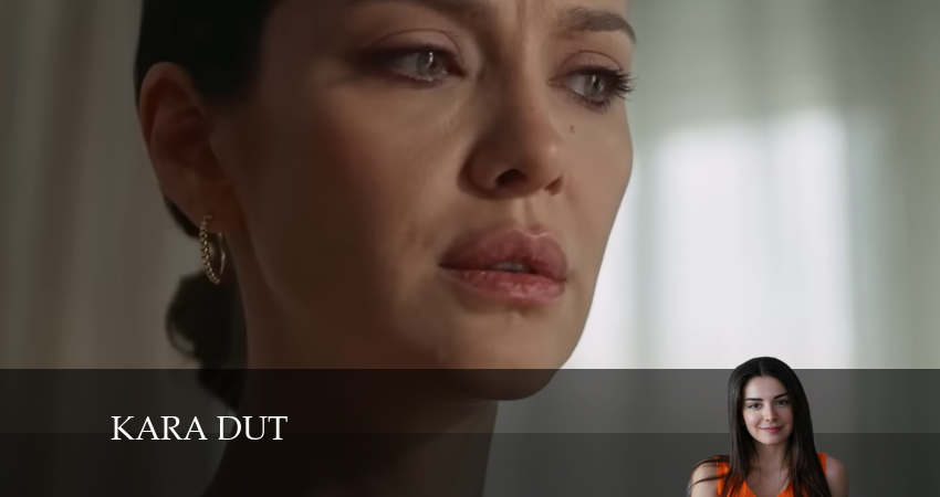 Сериал Черная шелковица (2024) 1 сезон 11 серия в хорошем качестве 1080 Full HD