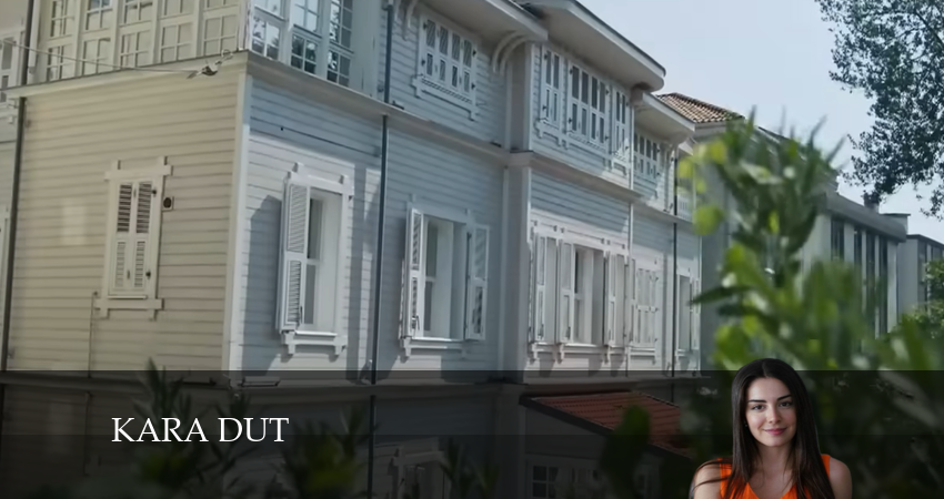 Черная шелковица 1 сезон 16 серия полная версия смотреть бесплатно