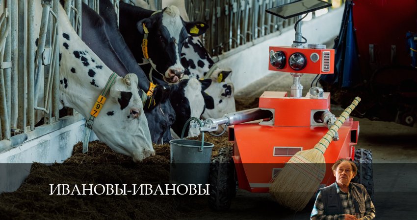 Cмотреть сериал Ивановы-Ивановы 7 сезон 11 серия онлайн бесплатно