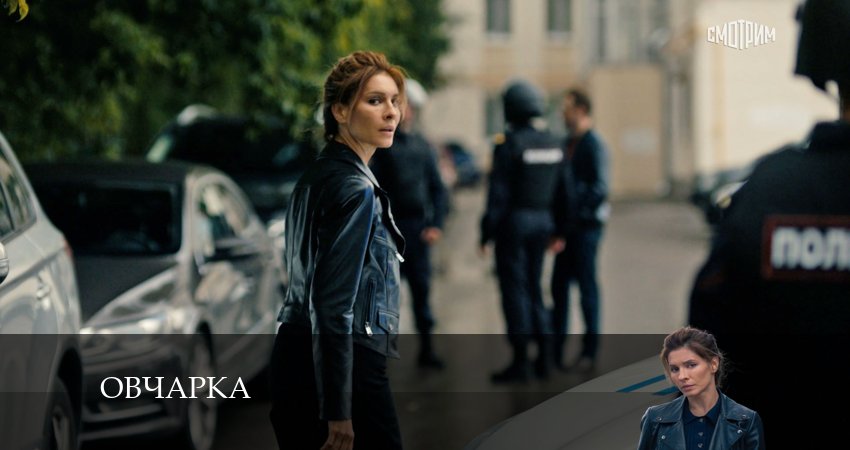 Будет ли продолжение сериала Овчарка