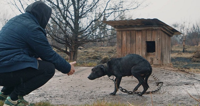 Фильм У пошуках Нiки (0 сезон) смотреть в HD | 2024