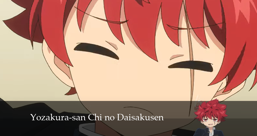 Операция: Семейка Ёдзакура 1 сезон 30 серия смотреть полностью без перерыва