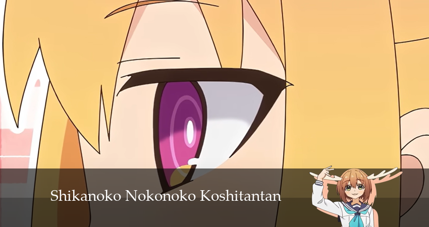 Моя подруга-олениха Нокотан 1 сезон 9 серия смотреть бесплатно в хорошем качестве