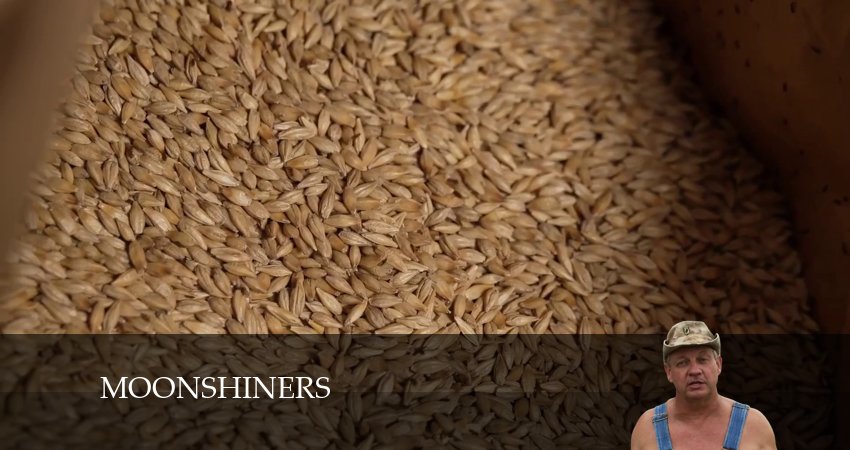 Смотреть сериал Самогонщики (2024) 14 сезон 5 серия без рекламы в HD