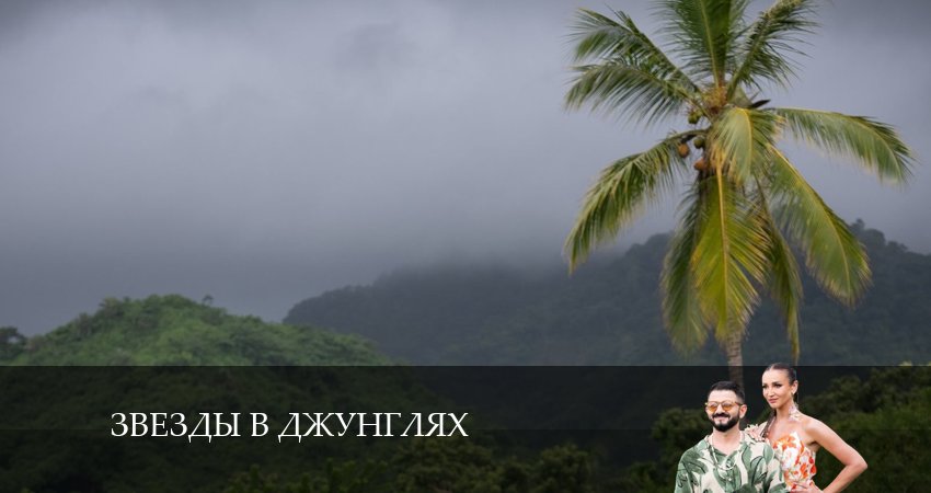 Звезды в джунглях (2024) 1 сезон 14 серия полностью смотреть бесплатно без рекламы